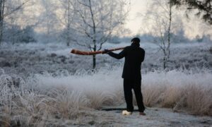 Zelf een midwinterhoorn bouwen