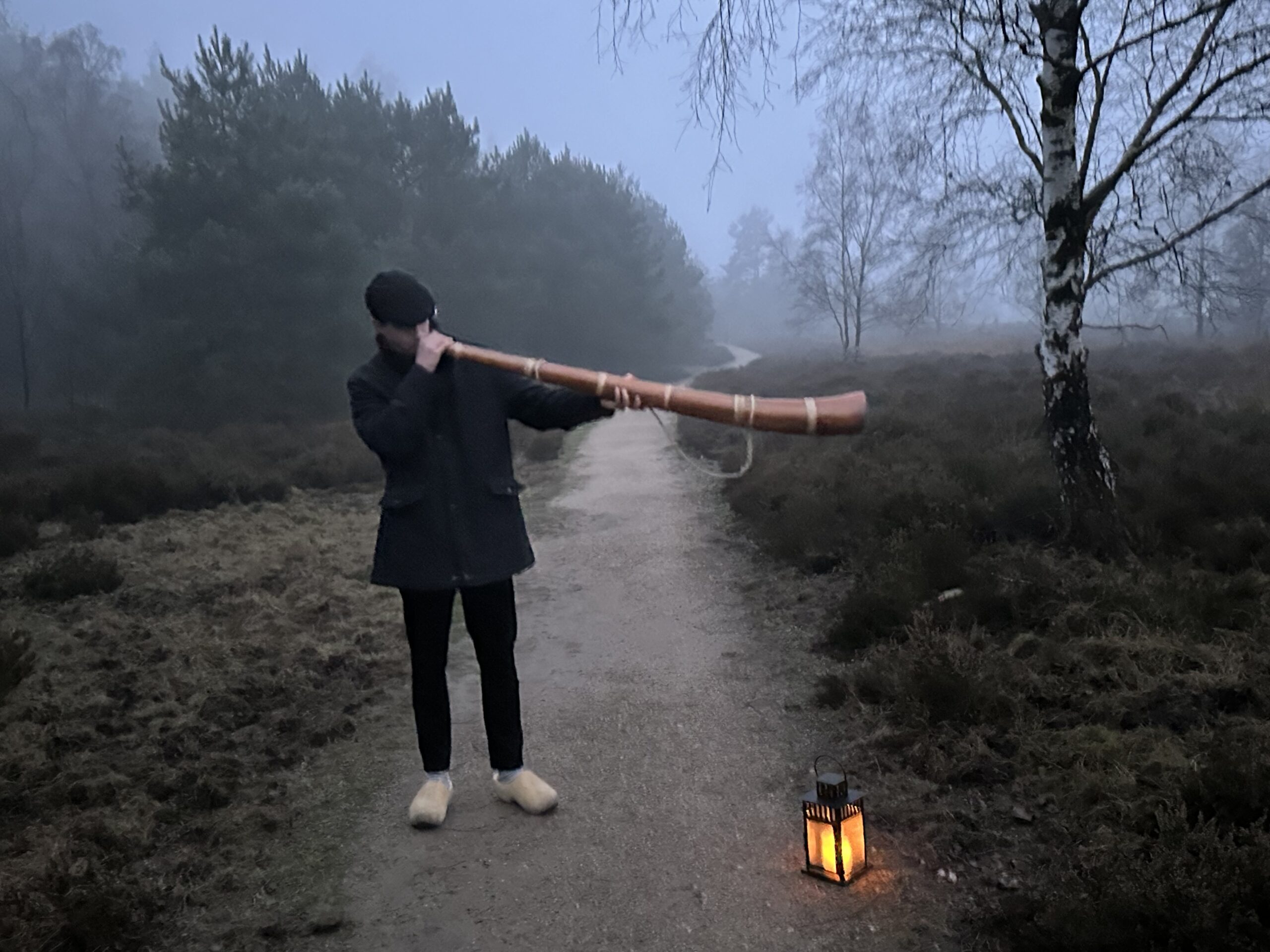 Midwinterhoornblazer op de heide in de avond.